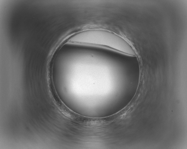 X0000070400103200606090940