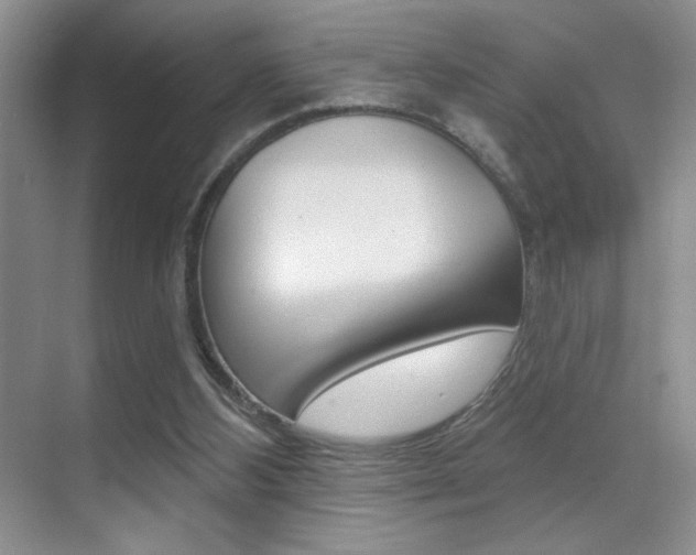 X0000070400108200606090940