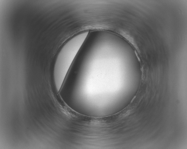 X0000070400109200606090940