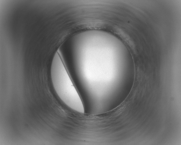 X0000070400113200606090940