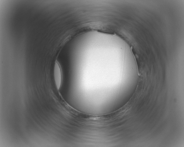 X0000070400117200606090940
