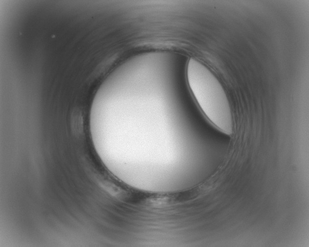 X0000070400120200606090940