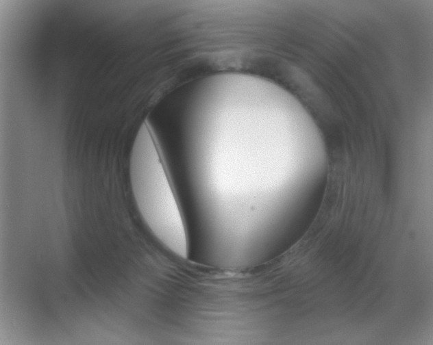X0000070400125200606090939