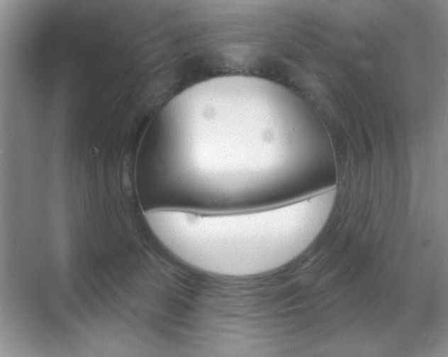 X0000070400131200606090939
