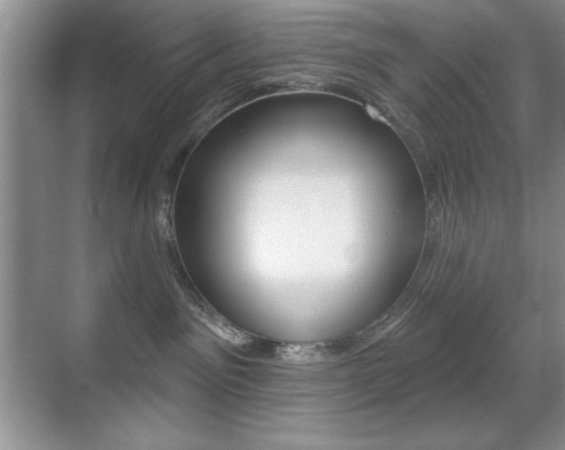 X0000070400141200606090939