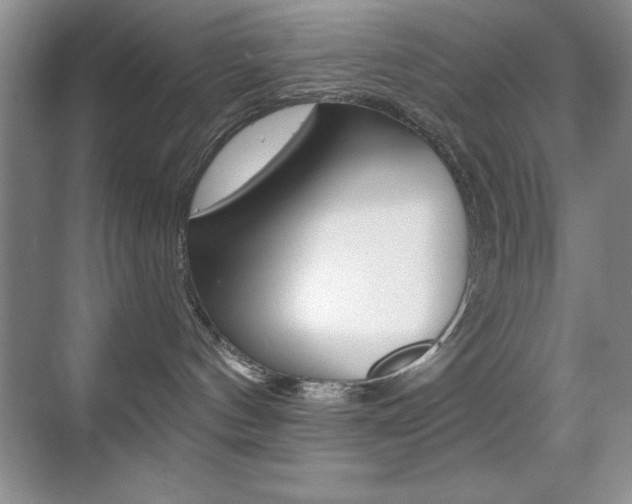 X0000070400144200606090939