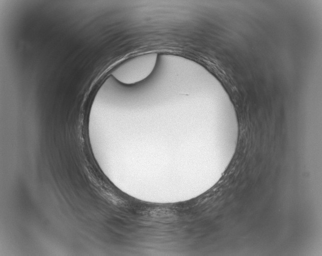 X0000070400146200606090938