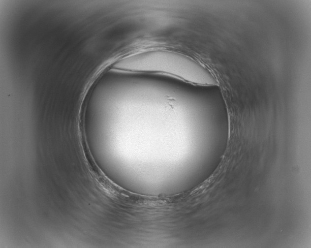 X0000070400147200606090938