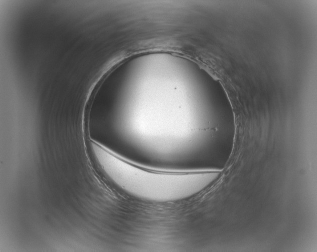 X0000070400148200606090938