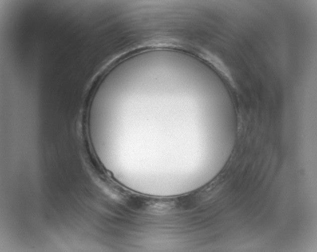X0000070400155200606090938