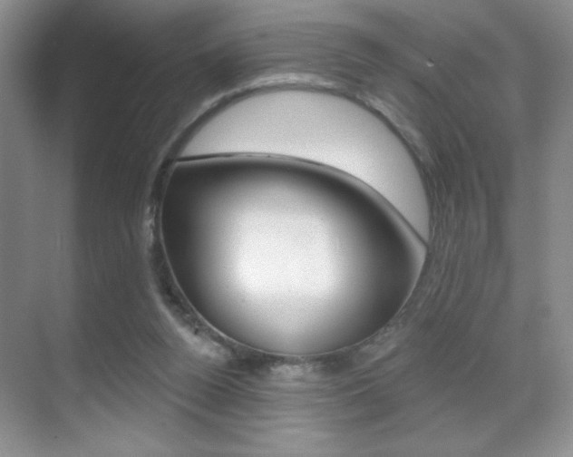 X0000070400160200606090939