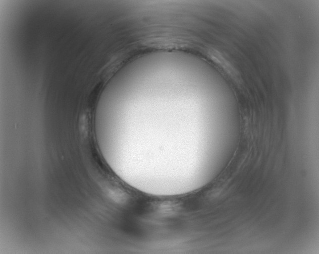 X0000070400165200606090939