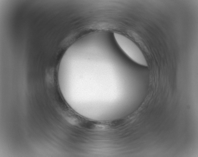 X0000070400167200606090939