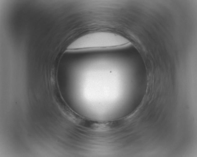 X0000070400170200606090939