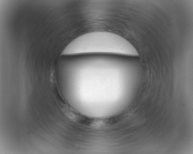 X0000070400177200606090939