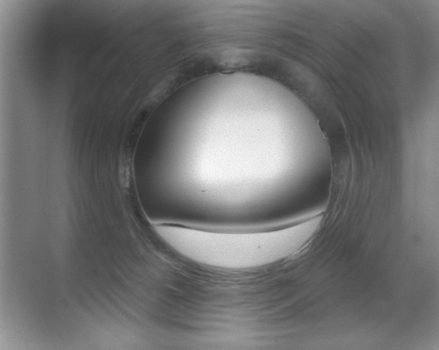 X0000070400180200606090939