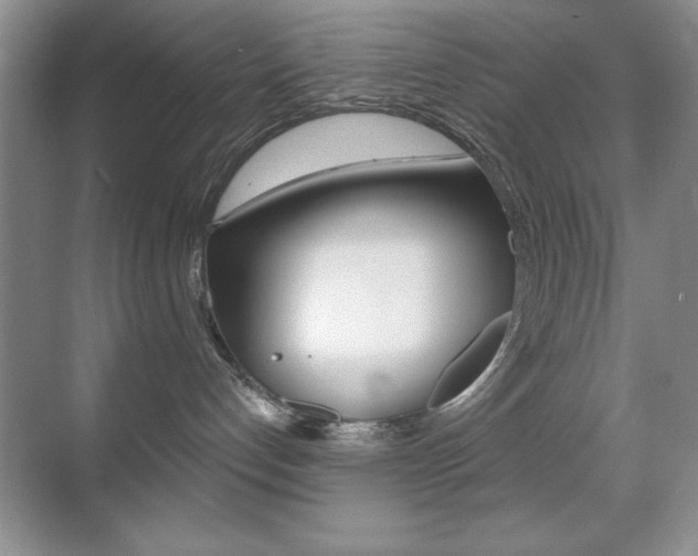 X0000070400192200606090939