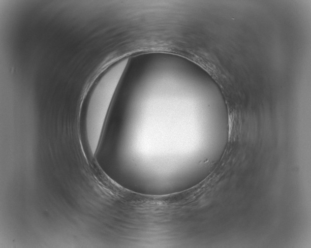 X0000070400195200606090938