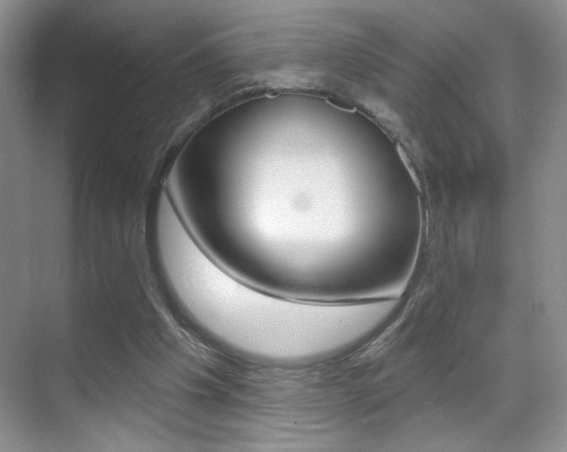 X0000070400201200606090938
