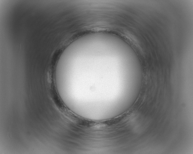 X0000070400210200606090938
