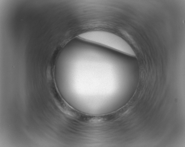 X0000070400213200606090938