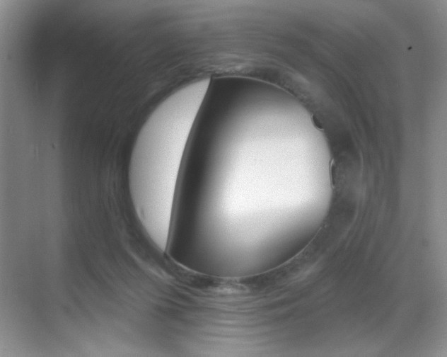 X0000070400215200606090938
