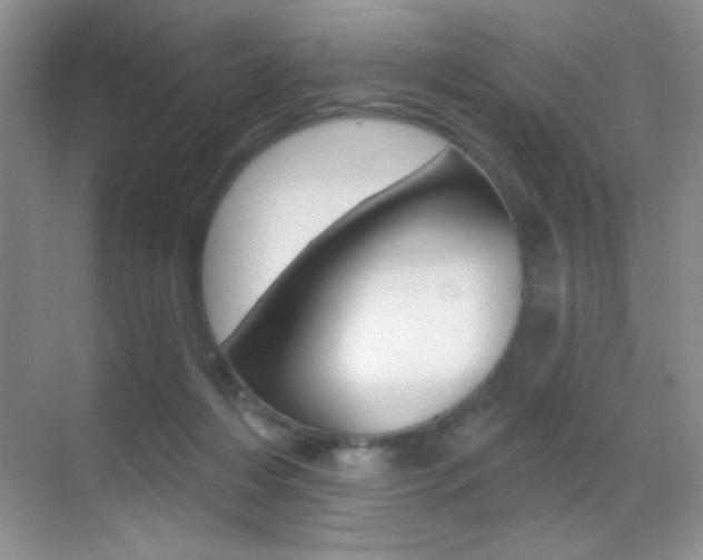 X0000070400216200606090938