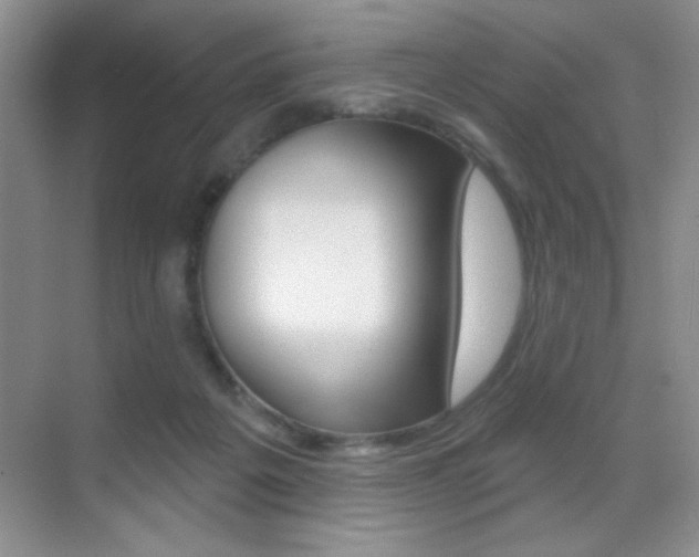 X0000070400217200606090938