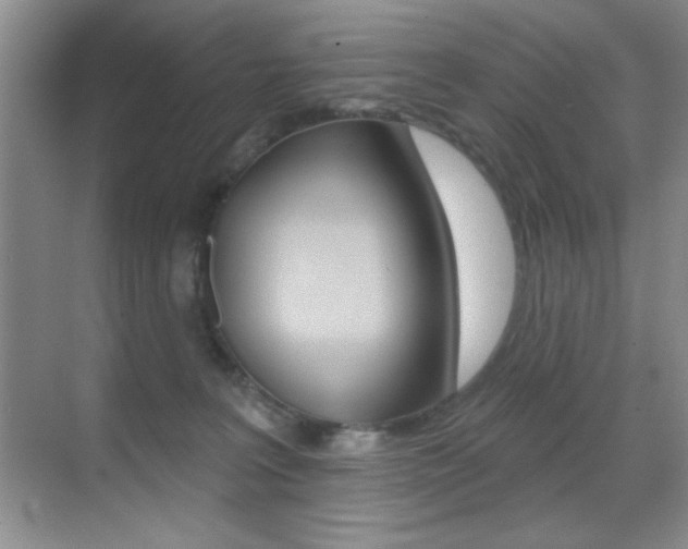 X0000070400227200606090938