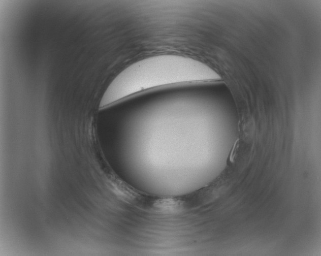 X0000070400231200606090938