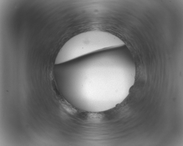 X0000070400234200606090938