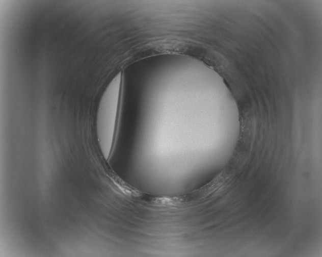 X0000070400239200606090938