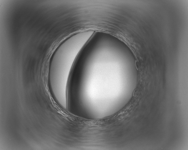 X0000070400241200606090937