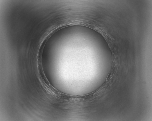 X0000070400242200606090937