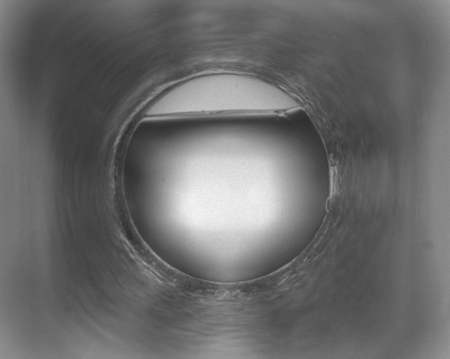 X0000070400243200606090937