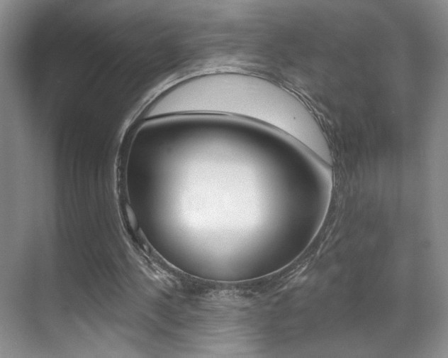 X0000070400244200606090937