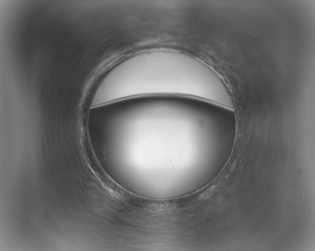 X0000070400245200606090937