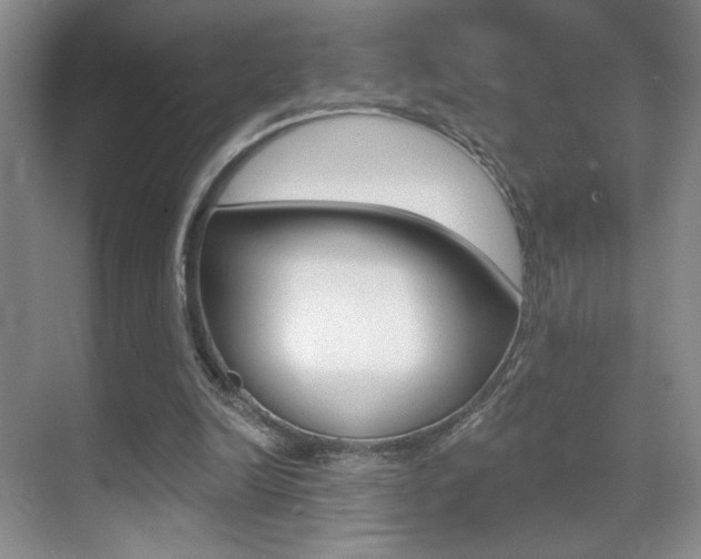 X0000070400246200606090937