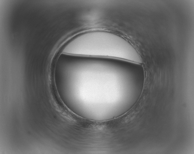 X0000070400247200606090937