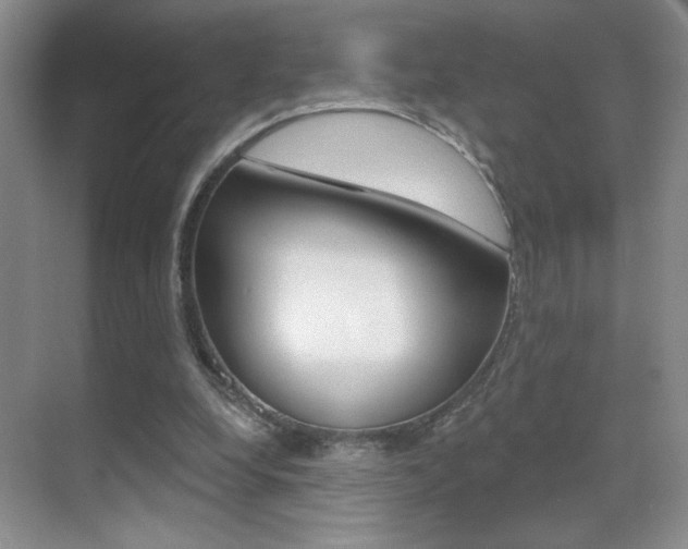 X0000070400248200606090937