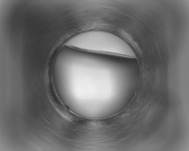 X0000070400250200606090937