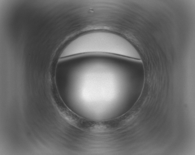 X0000070400256200606090937