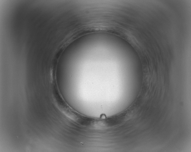 X0000070400262200606090937
