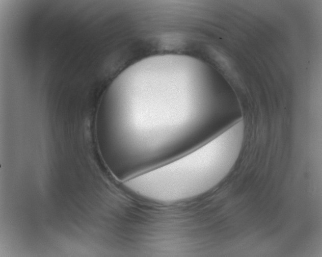 X0000070400269200606090937