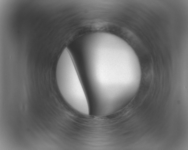 X0000070400270200606090937