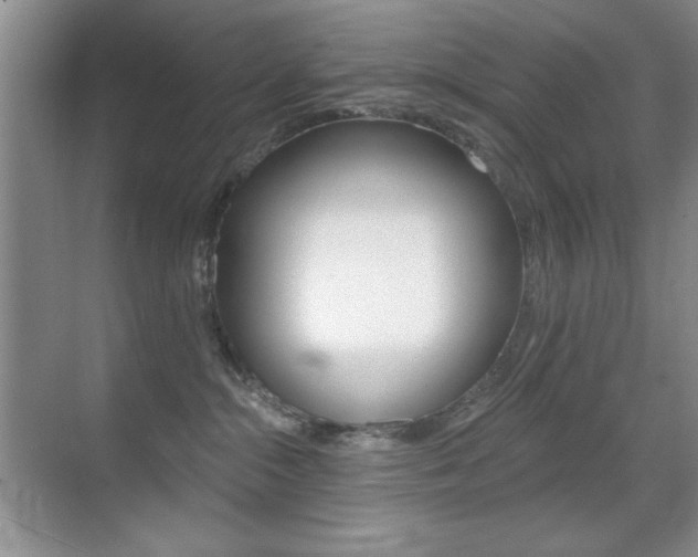 X0000070400284200606090937