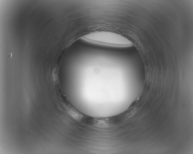 X0000070400285200606090937
