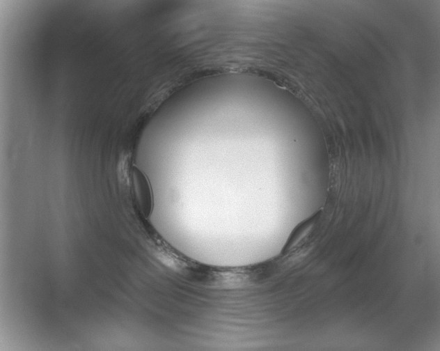 X0000070400286200606090937