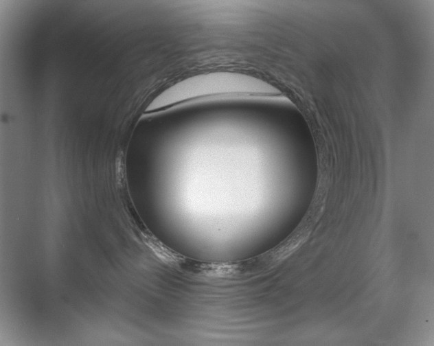 X0000070400288200606090937
