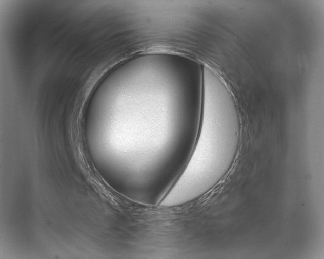 X0000070400289200606090937
